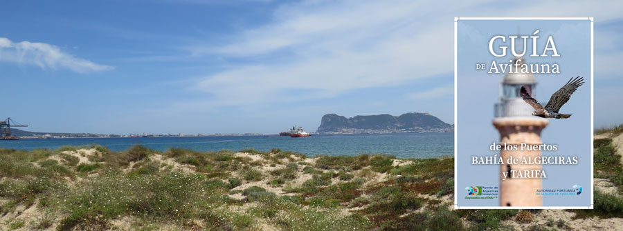 Guía de Avifauna